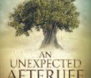 An Unexpected Afterlife - A Book Review